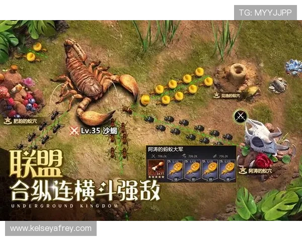 九游网页版入口使用方法教程，教你轻松进入游戏世界的每一个环节