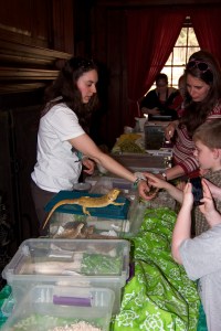 Kelsey Landis Woods Show April 13 2014